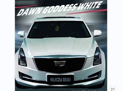 TPU-Morgendogin Weiß