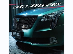 TPU-Frühjahrsgrün (glänzend)