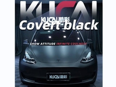 TPU-Bedeckung Schwarz